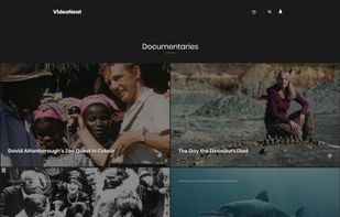 VideoNeat screenshot 1