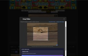 Cropping editor, multiple cropping options. 