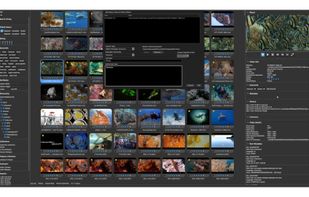 Videux Pro AS screenshot 3