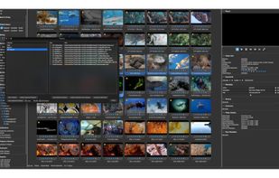 Videux Pro AS screenshot 1