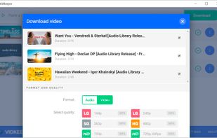 VidKeeper screenshot 3