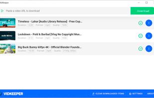 VidKeeper screenshot 1