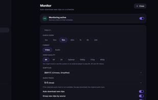 VidLoader's Download Section. For monitoring playlists.