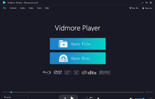 Vidmore Player screenshot 1