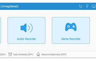 Vidmore Screen Recorder screenshot 1