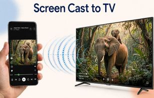 Vidnexa screenshot 3