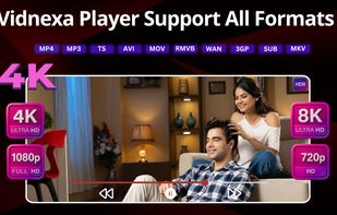Vidnexa screenshot 2