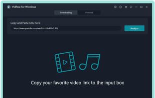 Paste the Video Link