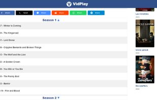 VidPlay screenshot 3