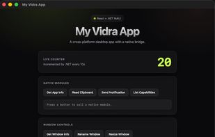 New scaffolded app via npm create vidra-app@latest