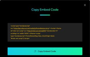 VidScout screenshot 2