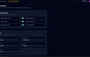 VidSentry custom policies