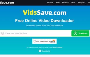 VidsSave screenshot 1