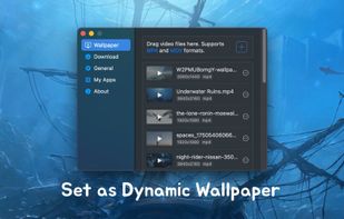 Vidwall screenshot 1