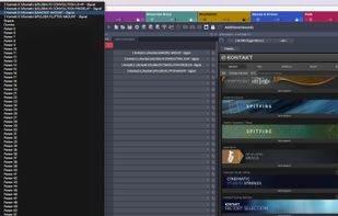 Vienna Ensemble Pro screenshot 1