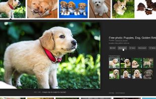 View Image screenshot 1