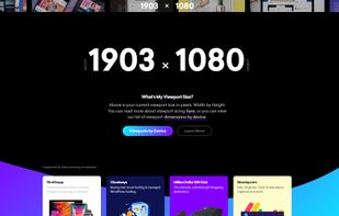 Viewport Sizer screenshot 1