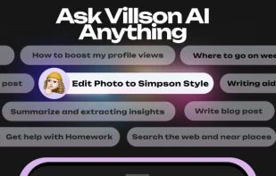 Villson screenshot 2