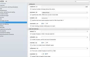Vim Options screenshot 2