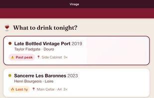 Vinage screenshot 1
