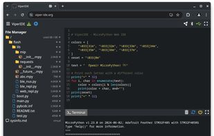 ViperIDE screenshot 1