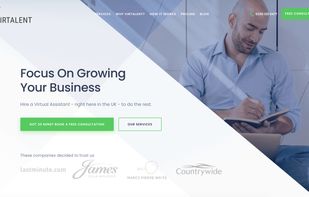 Virtalent screenshot 1