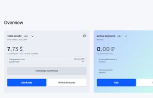 Visionwallet screenshot 1