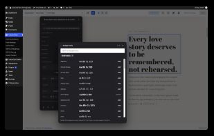 Typography settings for the selected text