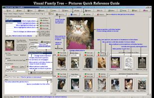 Visual Family Tree Maker screenshot 2