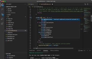 Visual Studio Code screenshot 1