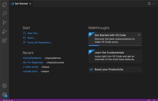Visual Studio Code screenshot 1