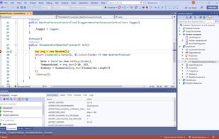 Microsoft Visual Studio screenshot 1