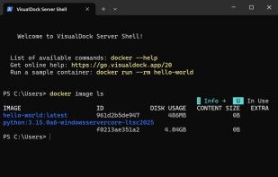VisualDock Server screenshot 3
