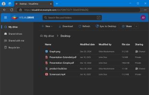 VisualDrive Server screenshot 1
