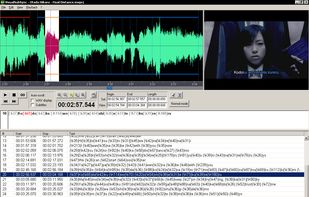 VisualSubSync screenshot 1