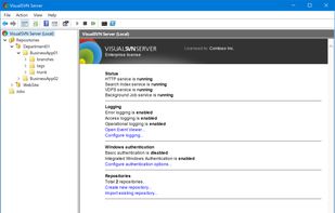 VisualSVN Server screenshot 1