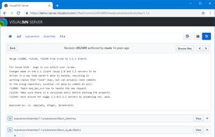 VisualSVN Server screenshot 2