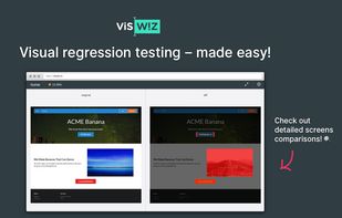 VisWiz.io screenshot 1