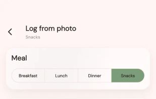 AI photo logging: the estimate returned from a meal photo, with every value editable before saving.