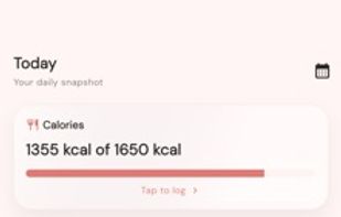 Today dashboard: calories remaining, macro rings for protein, carbs and fat, and water intake.