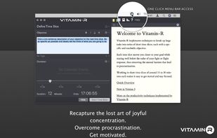 The Main Timer Interface
