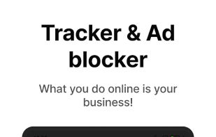 Vivaldi screenshot 1