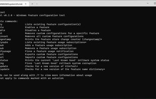 ViVeTool screenshot 1