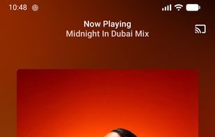 VIVI Music screenshot 1