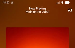 VIVI Music screenshot 1