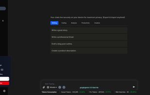Chat Settings