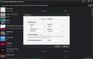 ViWizard Music Converter screenshot 3