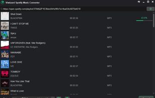 ViWizard Music Converter screenshot 2