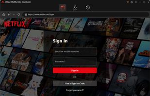 ViWizard Netflix Video Downloader screenshot 1