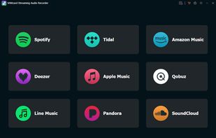 ViWizard Streaming Audio Recorder  screenshot 1